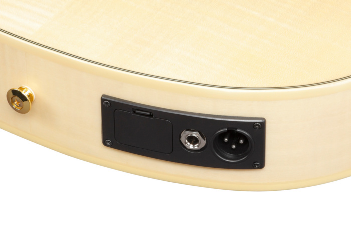 Ibanez アイバニーズ GA39TCE | CLASSICAL | ACOUSTIC GUITARS | PRODUCTS | Ibanez
